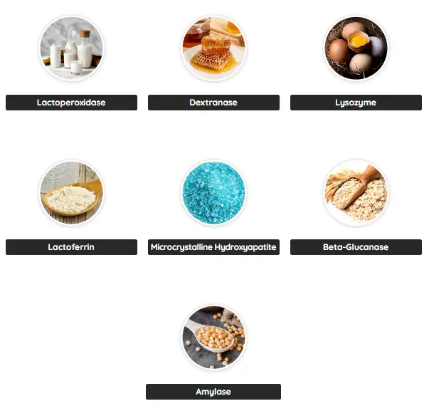 DentaTonic Ingredients